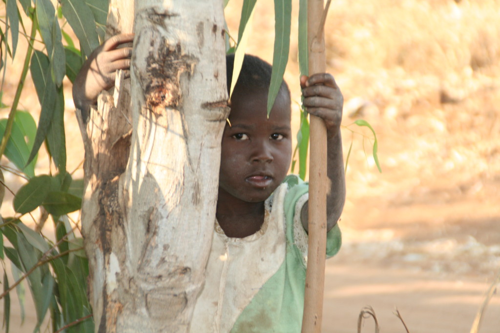 Malawi’s Orphans – Malawi Children's Mission